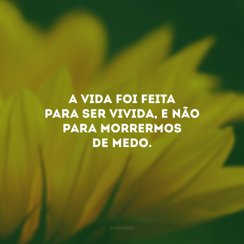 A vida foi feita para ser vivida, e não para morrermos de medo.