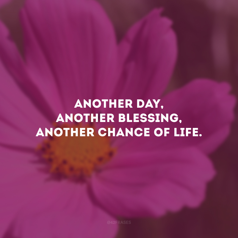 Another day, another blessing, another chance of life. (Outro dia, outra bênção, outra chance de vida.)