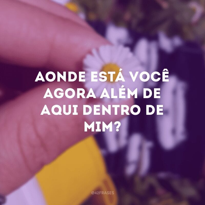 Aonde está você agora além de aqui dentro de mim?