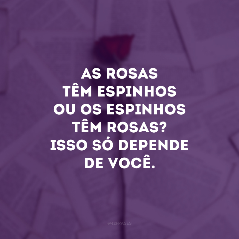 As rosas têm espinhos ou os espinhos têm rosas? Isso só depende de você.