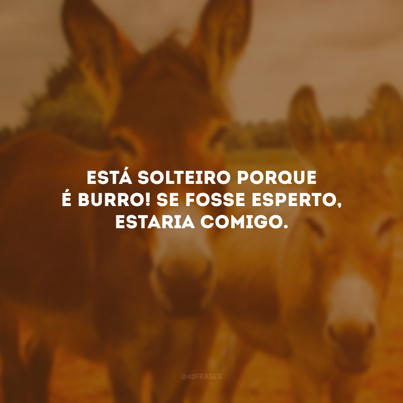 Está solteiro porque é burro! Se fosse esperto, estaria comigo.