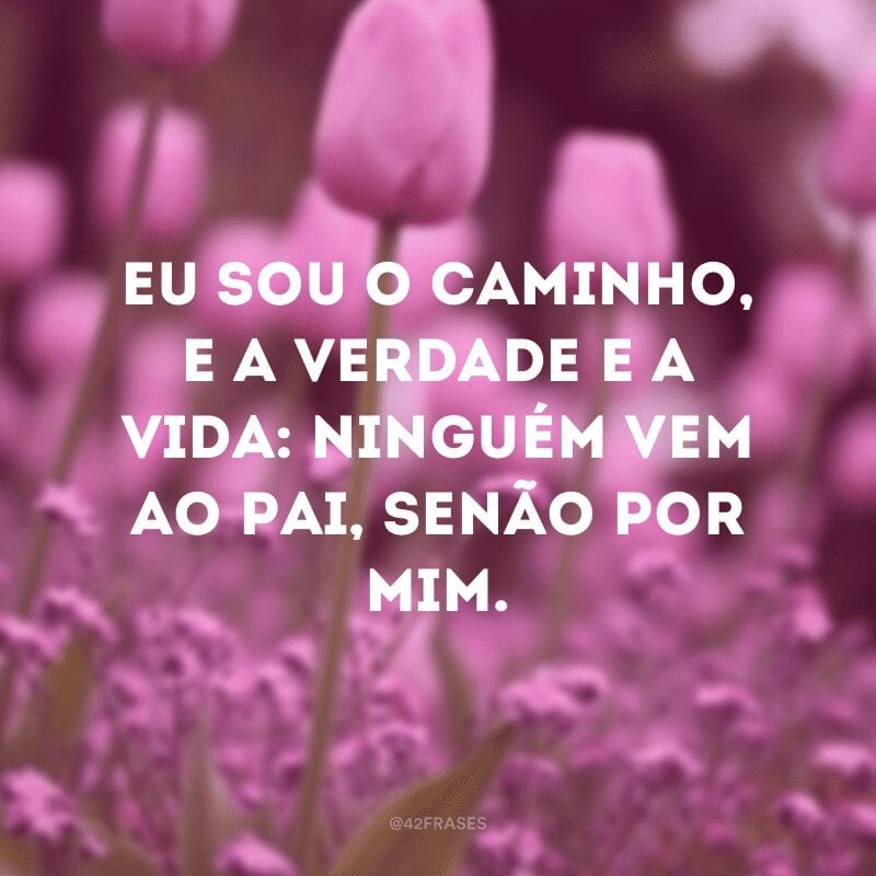 Eu sou o caminho, e a verdade e a vida: ninguém vem ao Pai, senão por mim.