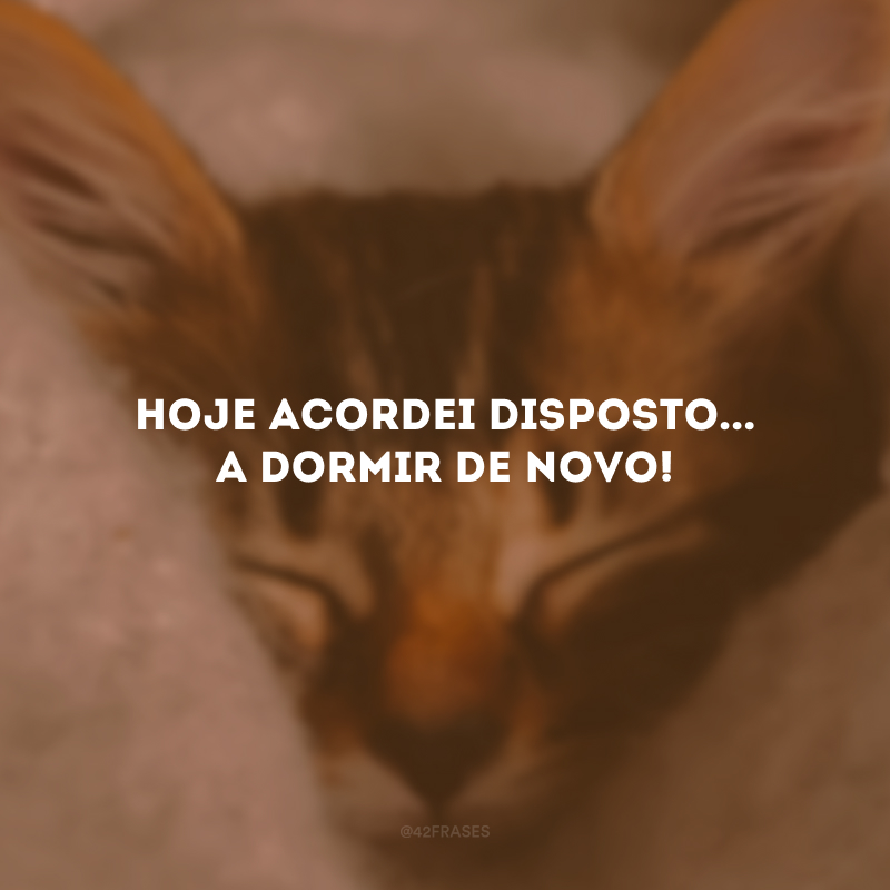 Hoje acordei disposto... A dormir de novo!