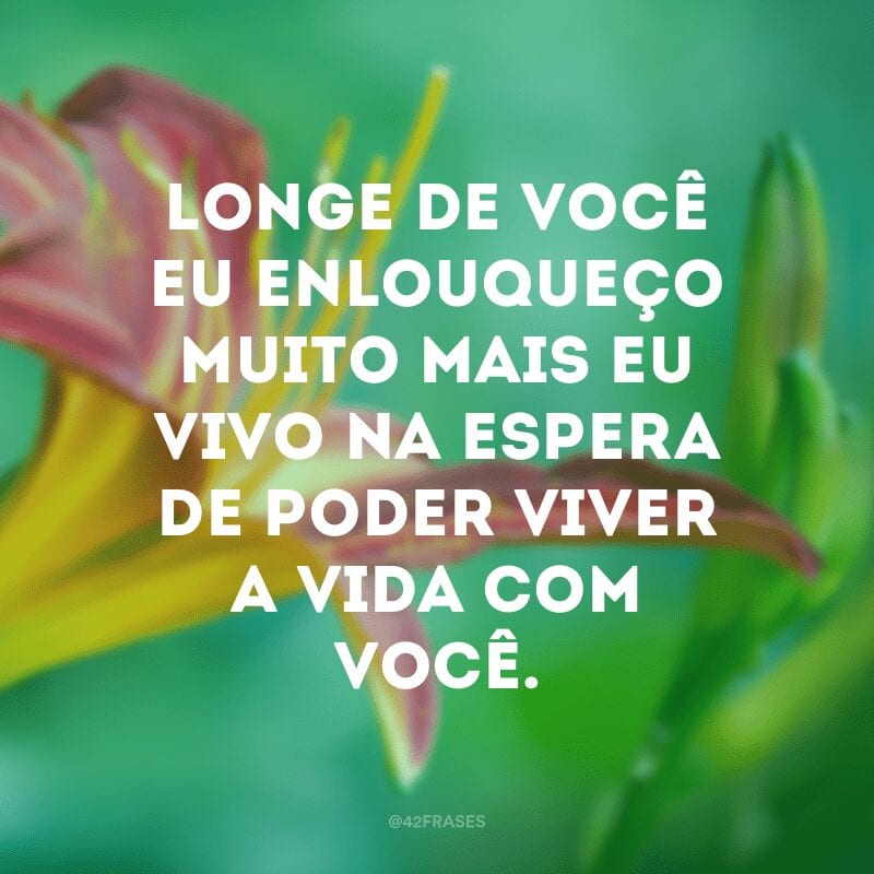 Longe de você eu enlouqueço muito mais eu vivo na espera de poder viver a vida com você.