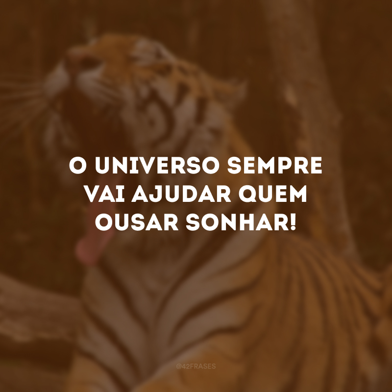 O universo sempre vai ajudar quem ousar sonhar!