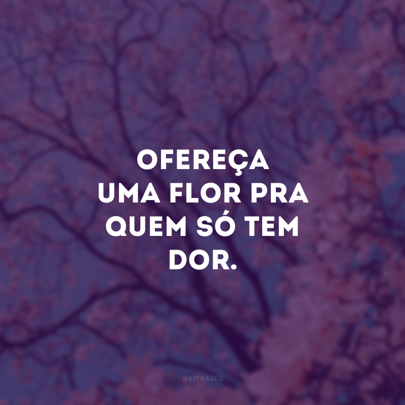 Ofereça uma flor pra quem só tem dor.