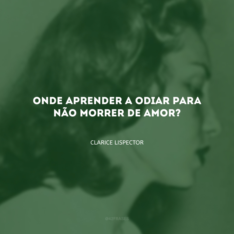 Onde aprender a odiar para não morrer de amor?