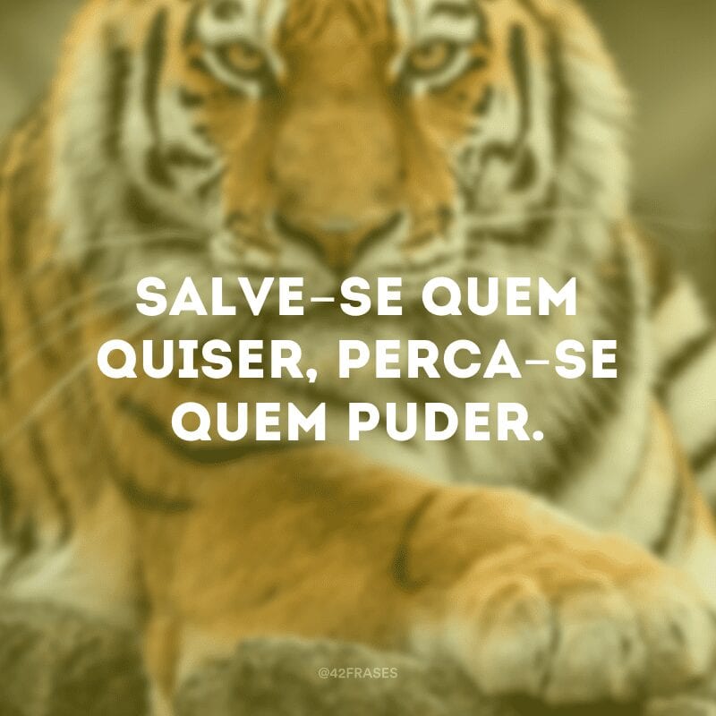 Salve-se quem quiser, perca-se quem puder.