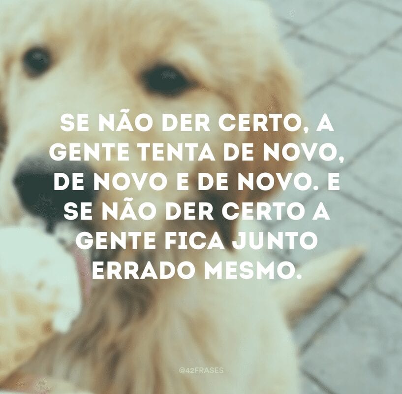 Se não der certo, a gente tenta de novo, de novo e de novo. E se não der certo a gente fica junto errado mesmo.