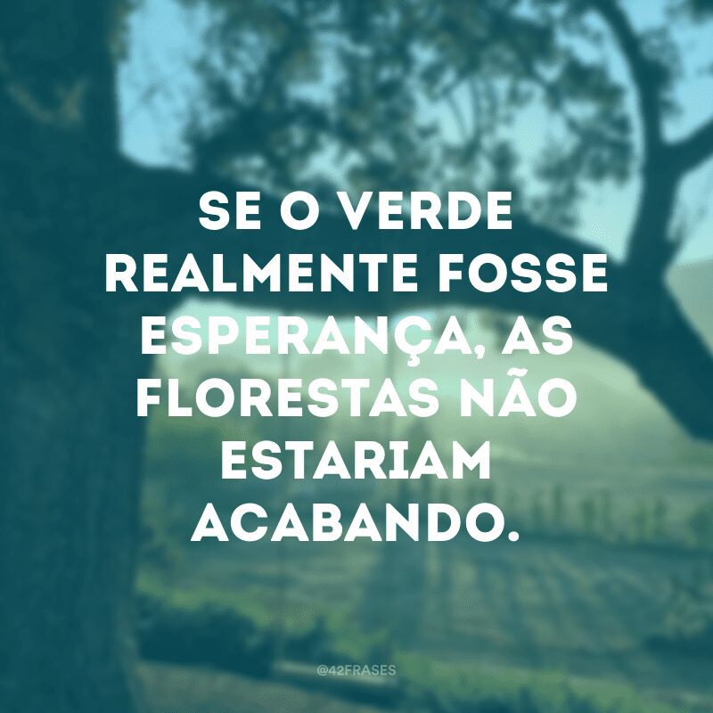 Se o verde realmente fosse esperança, as florestas não estariam acabando.