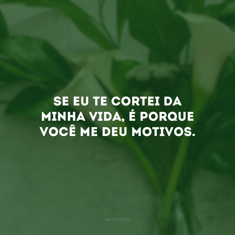 Se eu te cortei da minha vida, é porque você me deu motivos.