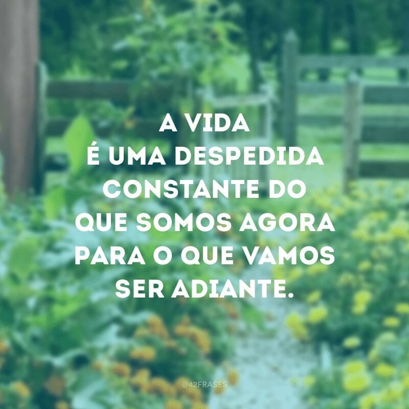 A vida é uma despedida constante do que somos agora para o que vamos ser adiante.