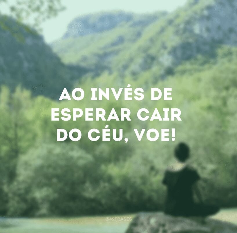 Ao invés de esperar cair do céu, voe! 