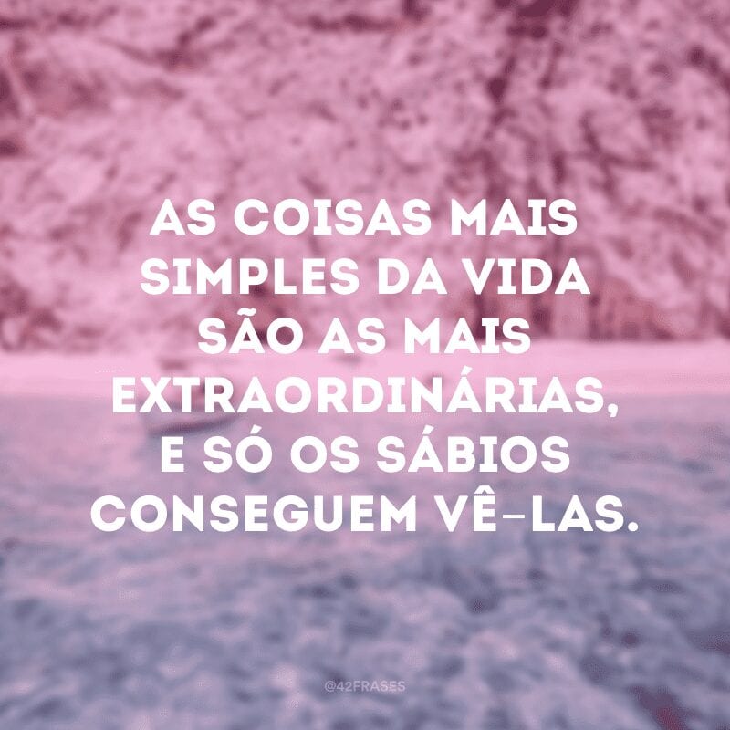 As coisas mais simples da vida são as mais extraordinárias, e só os sábios conseguem vê-las.