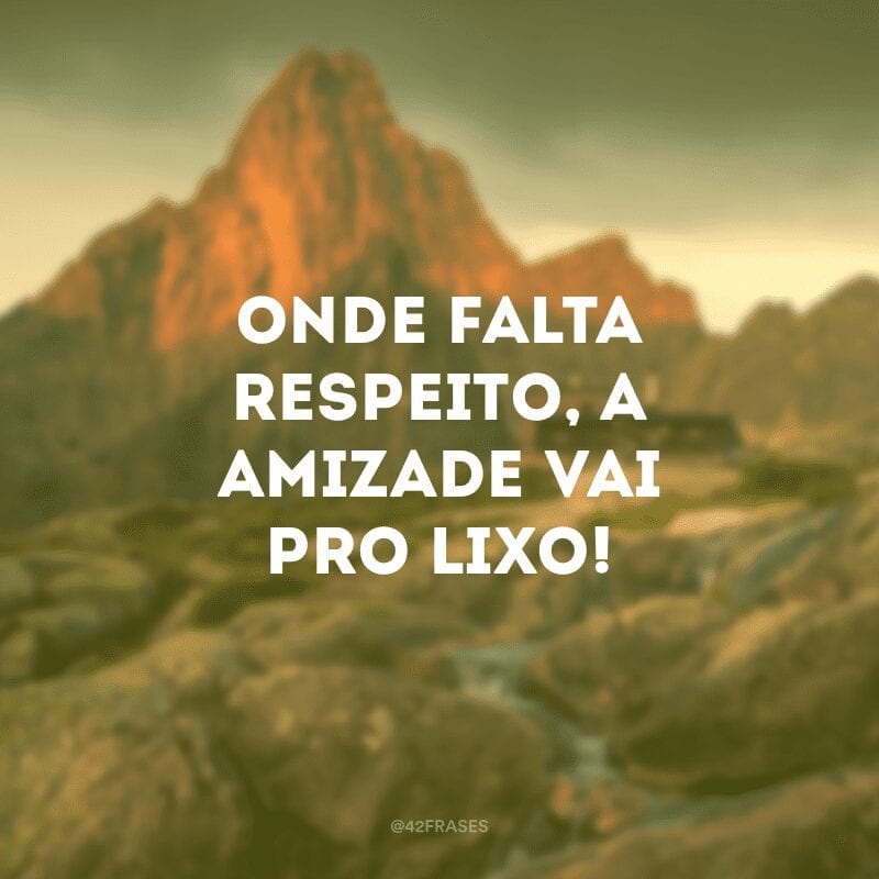 Onde falta respeito, a amizade vai pro lixo! 