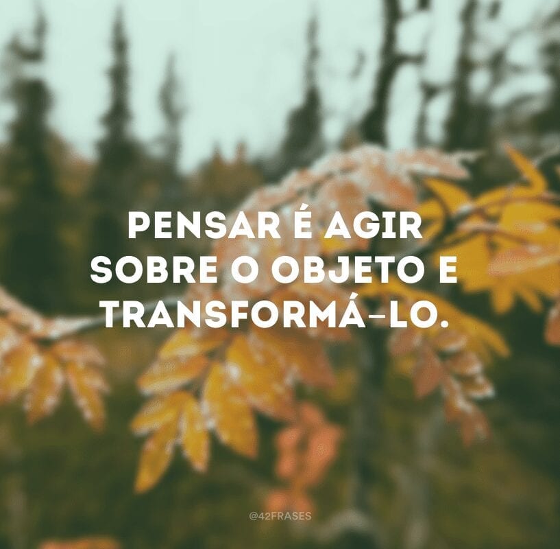 Pensar é agir sobre o objeto e transformá-lo.