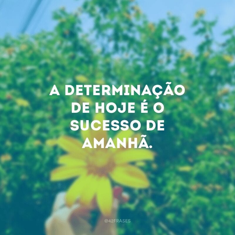 A determinação de hoje é o sucesso de amanhã.