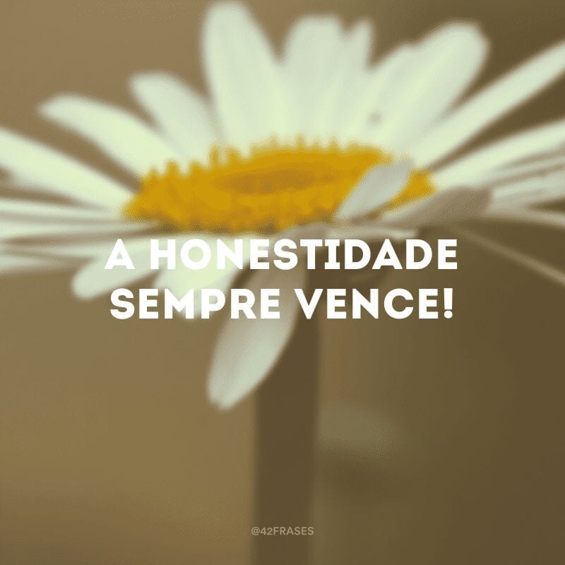 A honestidade sempre vence!