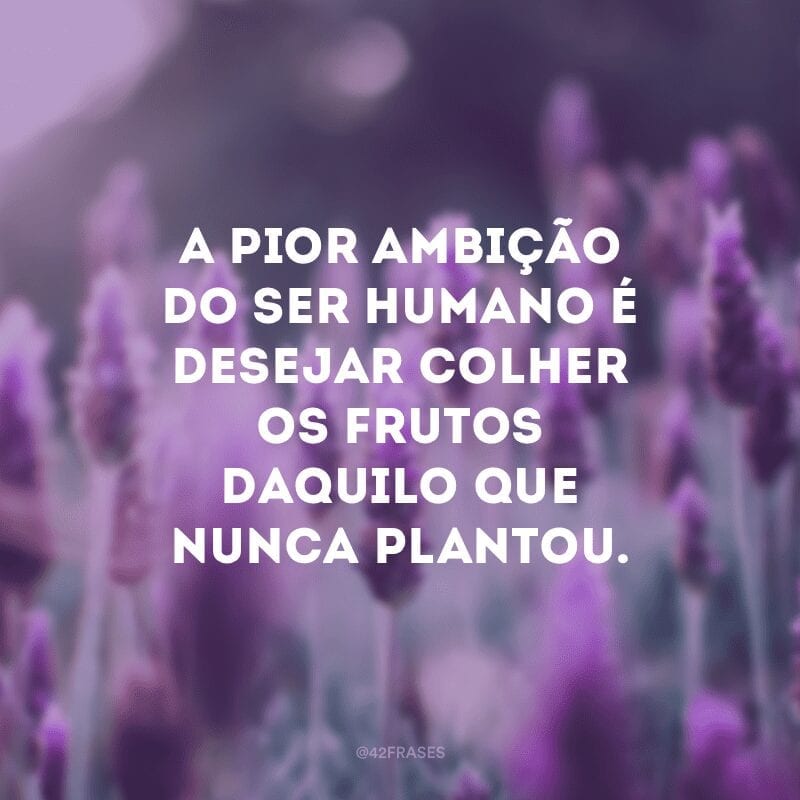 A pior ambição do ser humano é desejar colher os frutos daquilo que nunca plantou.