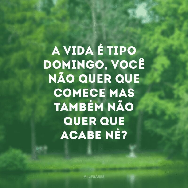 A vida é tipo domingo, você não quer que comece mas também não quer que acabe né?