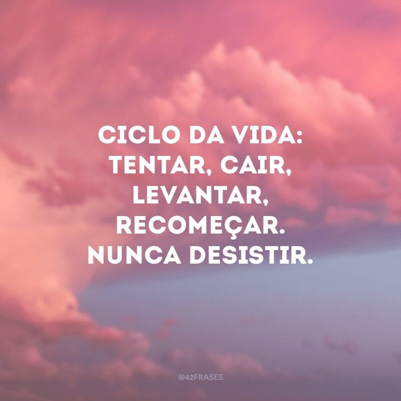 Ciclo da vida: tentar, cair, levantar, recomeçar. Nunca desistir.