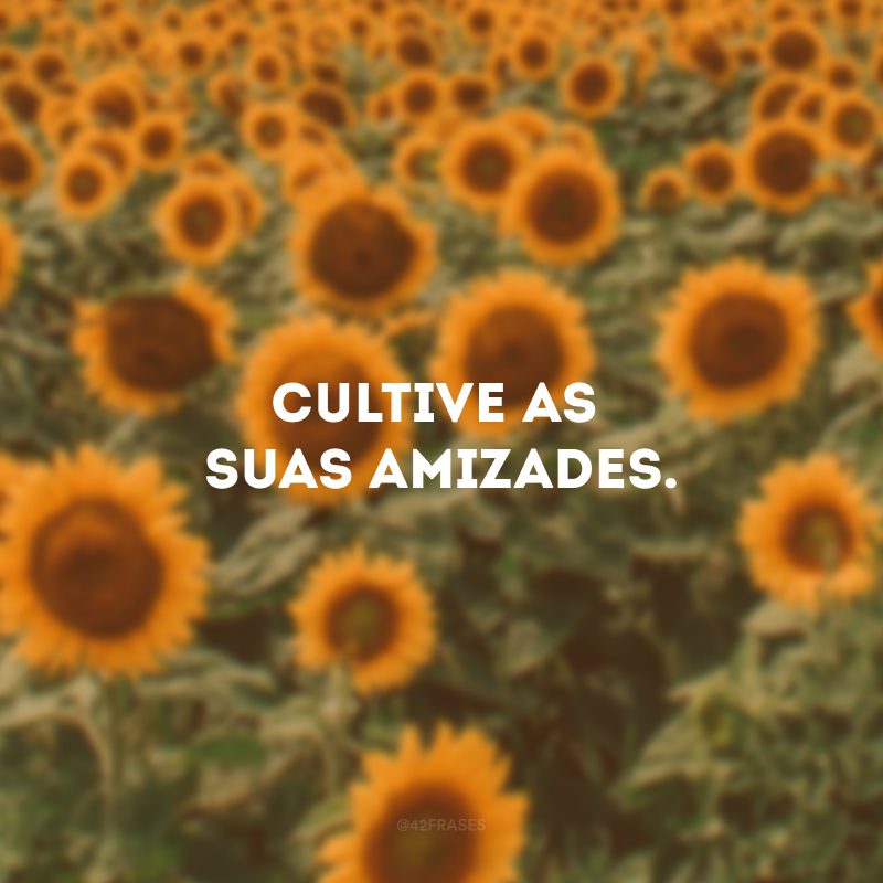 Cultive as suas amizades.