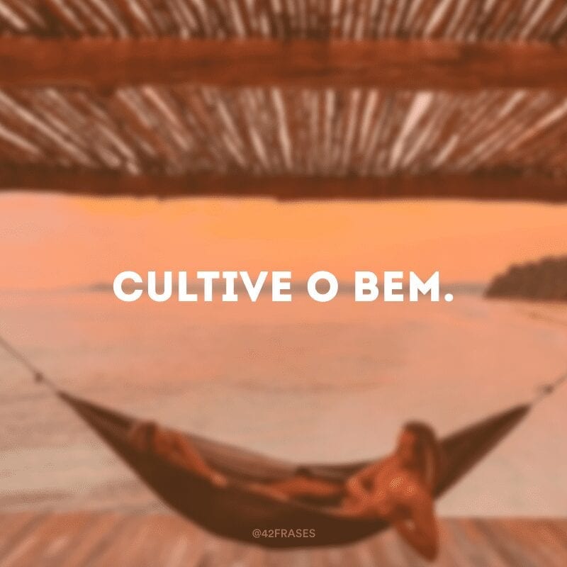 Cultive o bem.