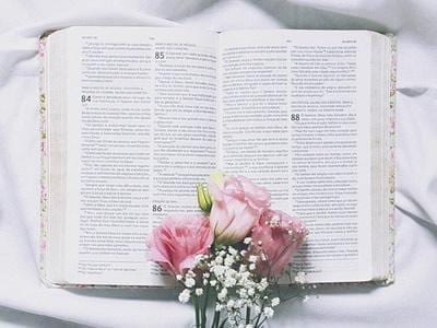 50 frases curtas da Bíblia que são perfeitas para fortalecer sua fé