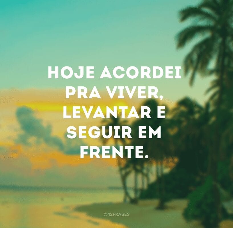 Hoje acordei pra viver, levantar e seguir em frente.