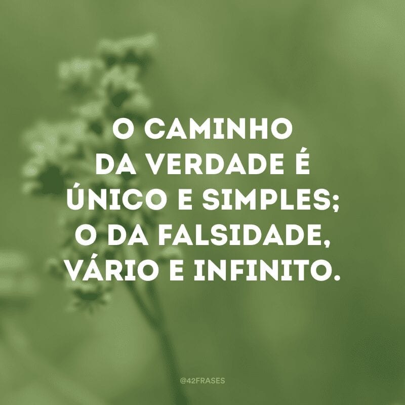 O caminho da verdade é único e simples; o da falsidade, vário e infinito.