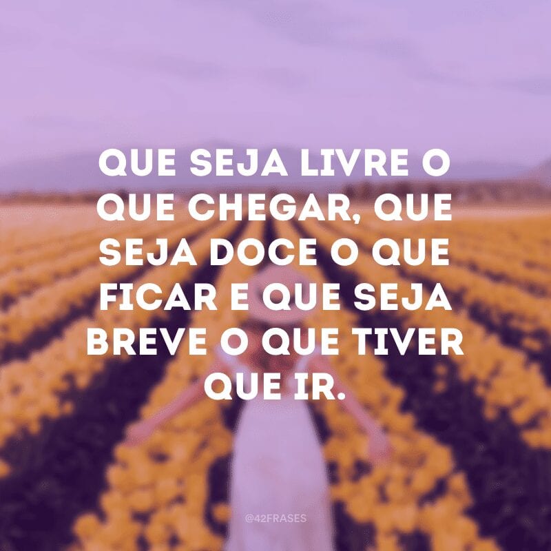 Que seja livre o que chegar, que seja doce o que ficar e que seja breve o que tiver que ir.