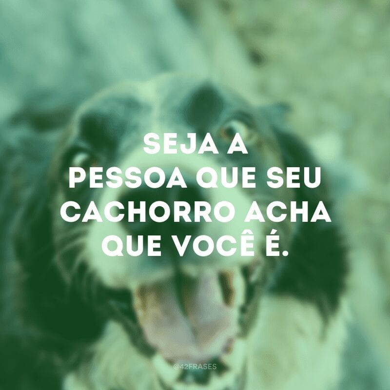 Seja a pessoa que seu cachorro acha que você é.