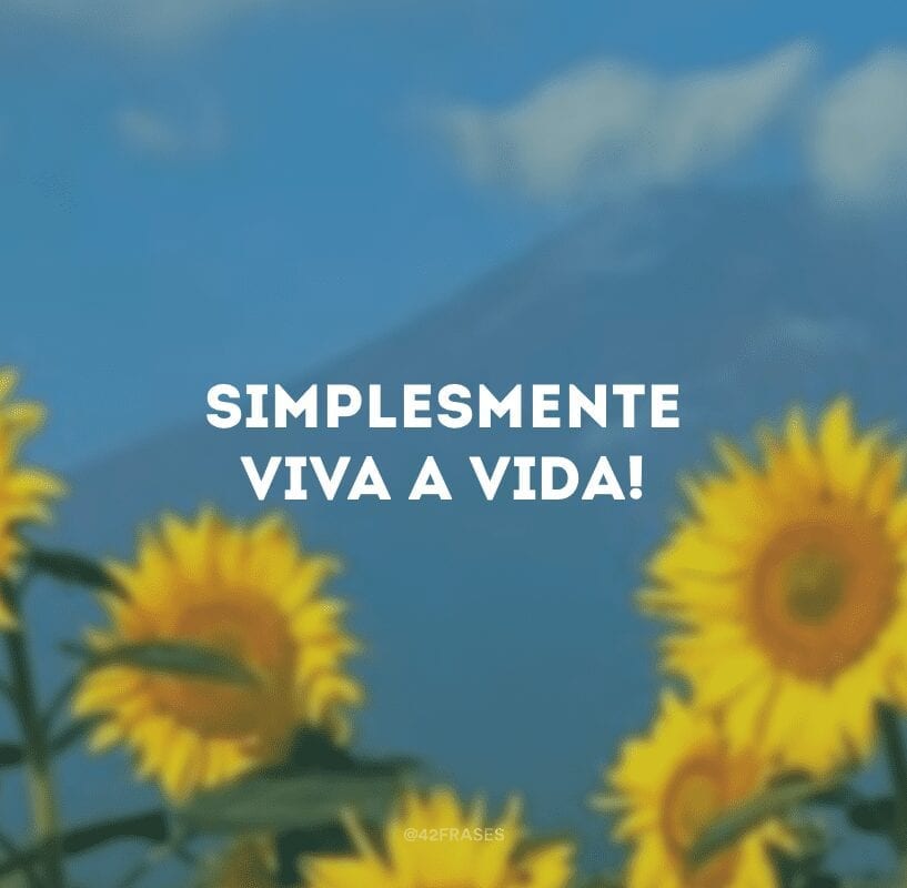 Simplesmente viva a vida!