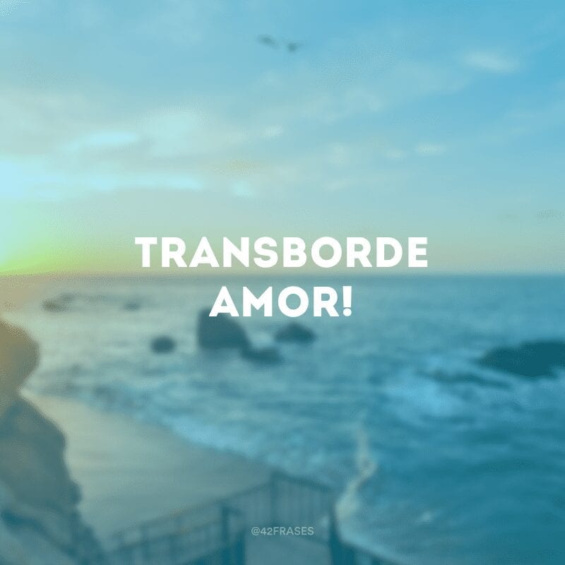 Transborde amor!