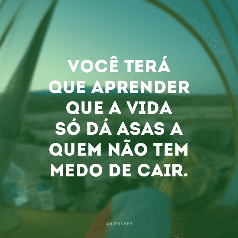 Você terá que aprender que a vida só dá asas a quem não tem medo de cair.