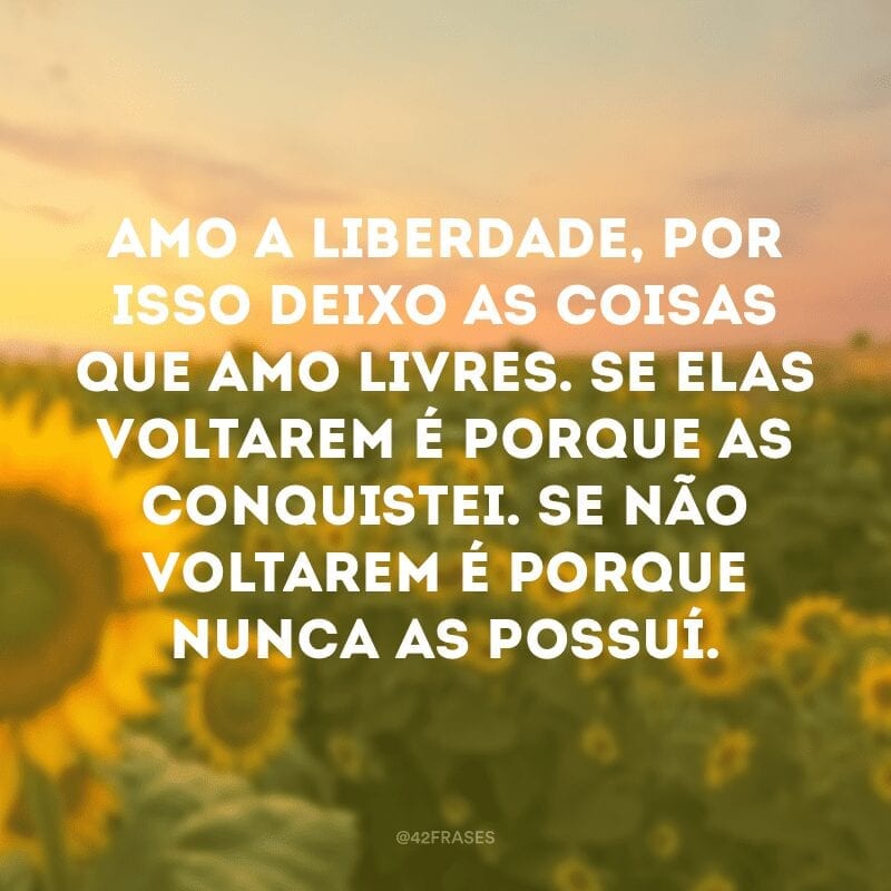 Amo a liberdade, por isso deixo as coisas que amo livres. Se elas voltarem é porque as conquistei. Se não voltarem é porque nunca as possuí. 