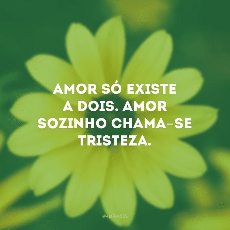 Amor só existe a dois. Amor sozinho chama-se tristeza.