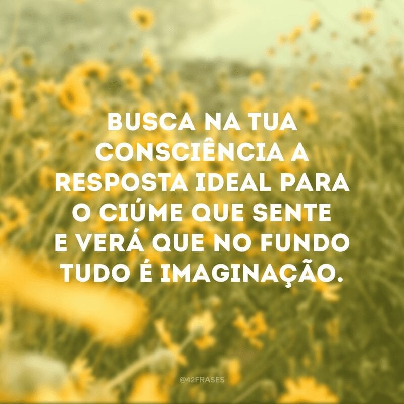 Busca na tua consciência a resposta ideal para o ciúme que sente e verá que no fundo tudo é imaginação.