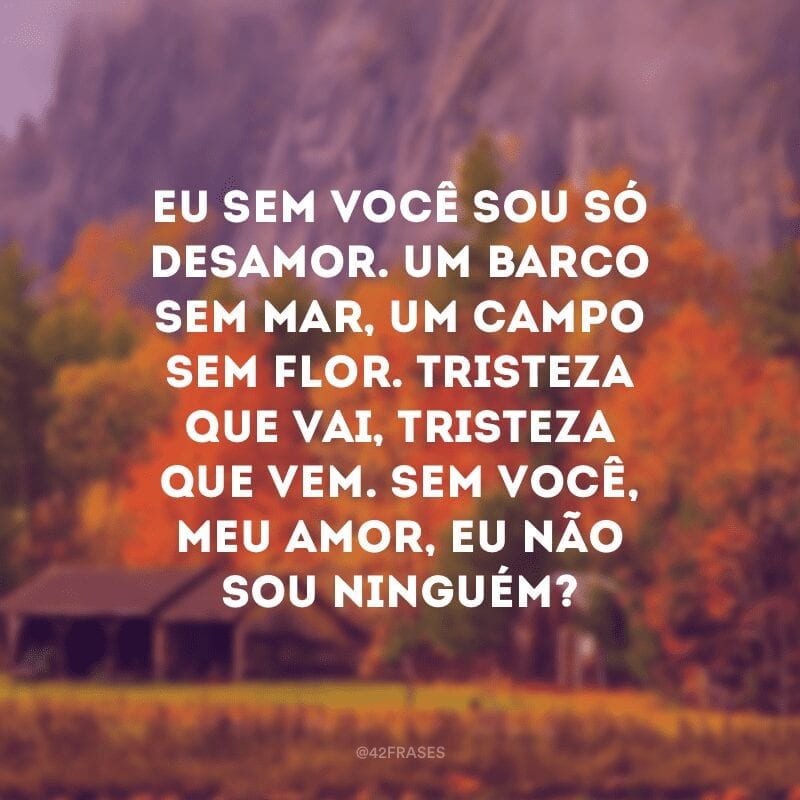 Eu sem você sou só desamor. Um barco sem mar, um campo sem flor. Tristeza que vai, tristeza que vem. Sem você, meu amor, eu não sou ninguém?