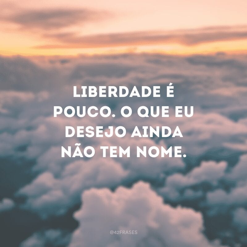 Liberdade é pouco. O que eu desejo ainda não tem nome.