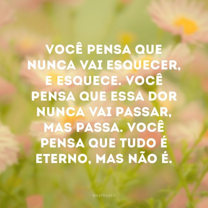 Você pensa que nunca vai esquecer, e esquece. Você pensa que essa dor nunca vai passar, mas passa. Você pensa que tudo é eterno, mas não é. 