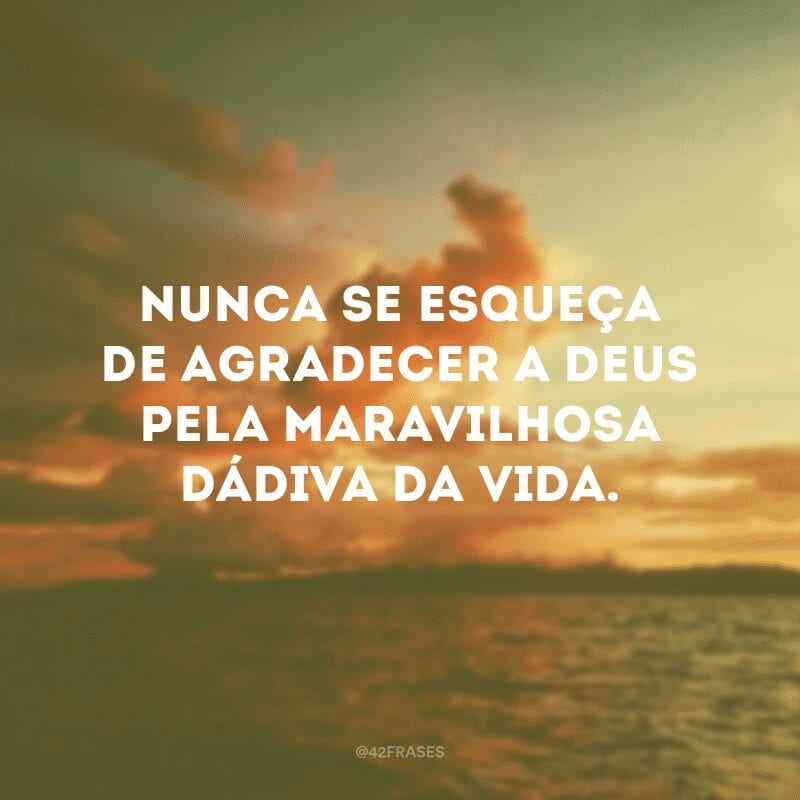 Nunca se esqueça de agradecer a Deus pela maravilhosa dádiva da vida.