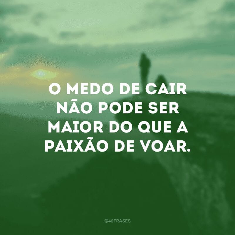 O medo de cair não pode ser maior do que a paixão de voar.