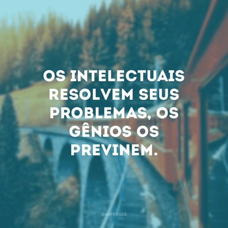 Os intelectuais resolvem seus problemas, os gênios os previnem.