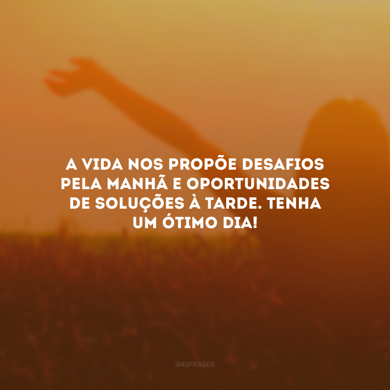 A vida nos propõe desafios pela manhã e oportunidades de soluções à tarde. Tenha um ótimo dia!