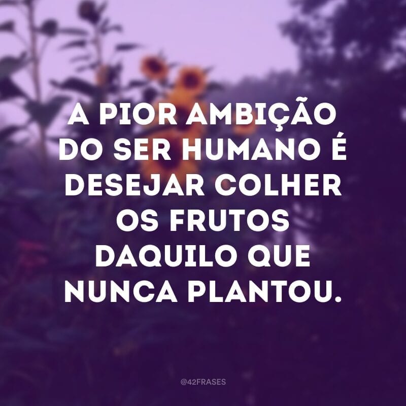 A pior ambição do ser humano é desejar colher os frutos daquilo que nunca plantou.