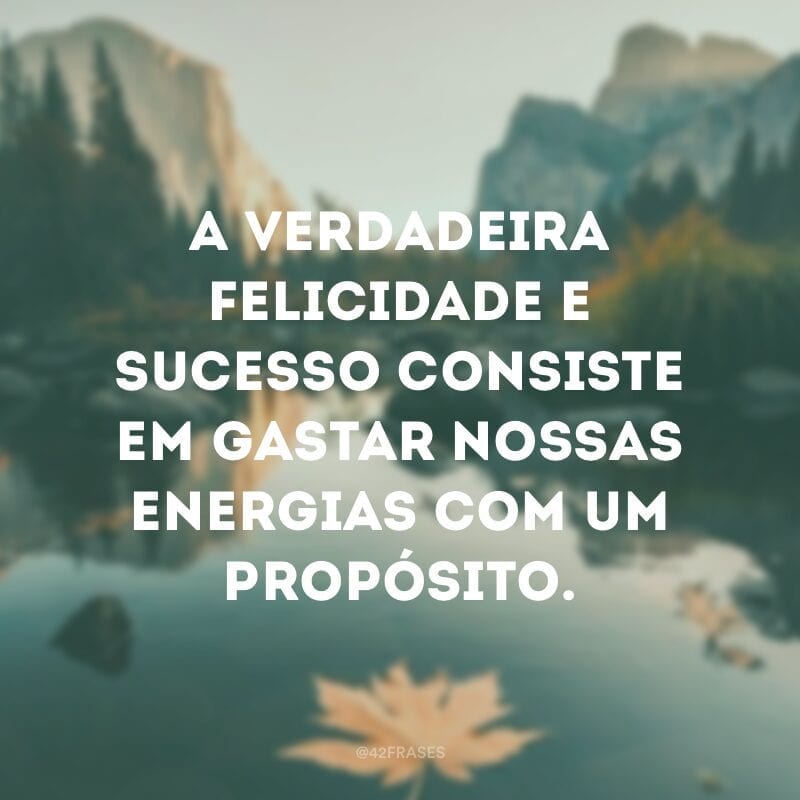 A verdadeira felicidade e sucesso consiste em gastar nossas energias com um propósito.