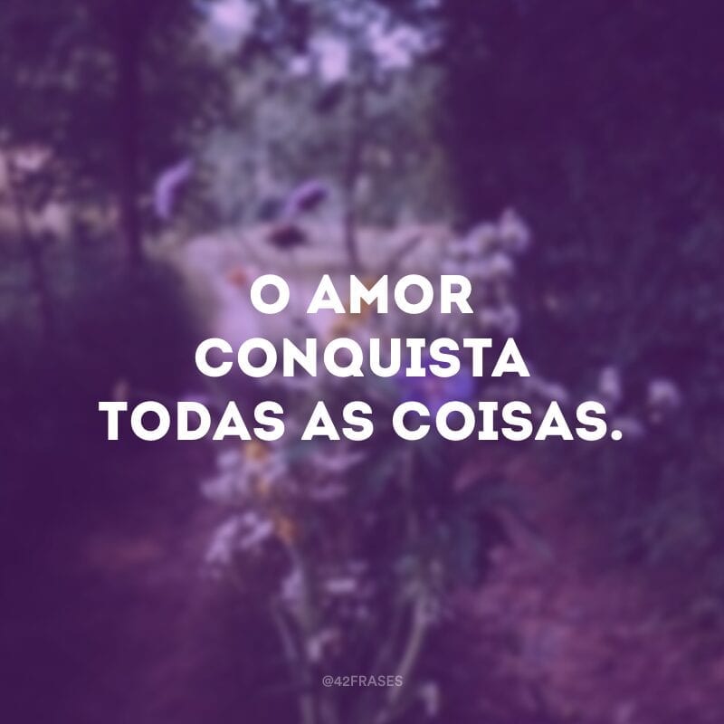 O amor conquista todas as coisas.