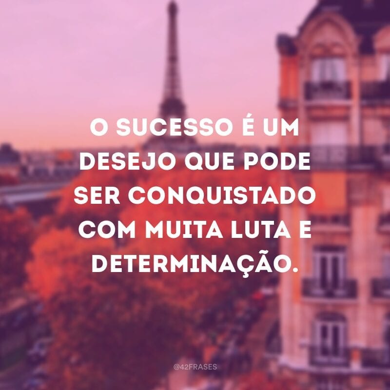 O sucesso é um desejo que pode ser conquistado com muita luta e determinação.