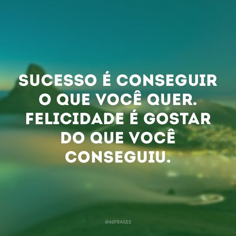 Sucesso é conseguir o que você quer. Felicidade é gostar do que você conseguiu.